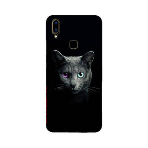 Black Cat   ---   Apple XioMi RealMe Oppo Vivo - Mobile Back Cover