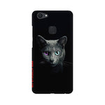 Black Cat   ---   Apple XioMi RealMe Oppo Vivo - Mobile Back Cover